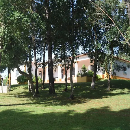 Villa Luxurious In Caldas Da Rainha With Pool, Cleaning Included